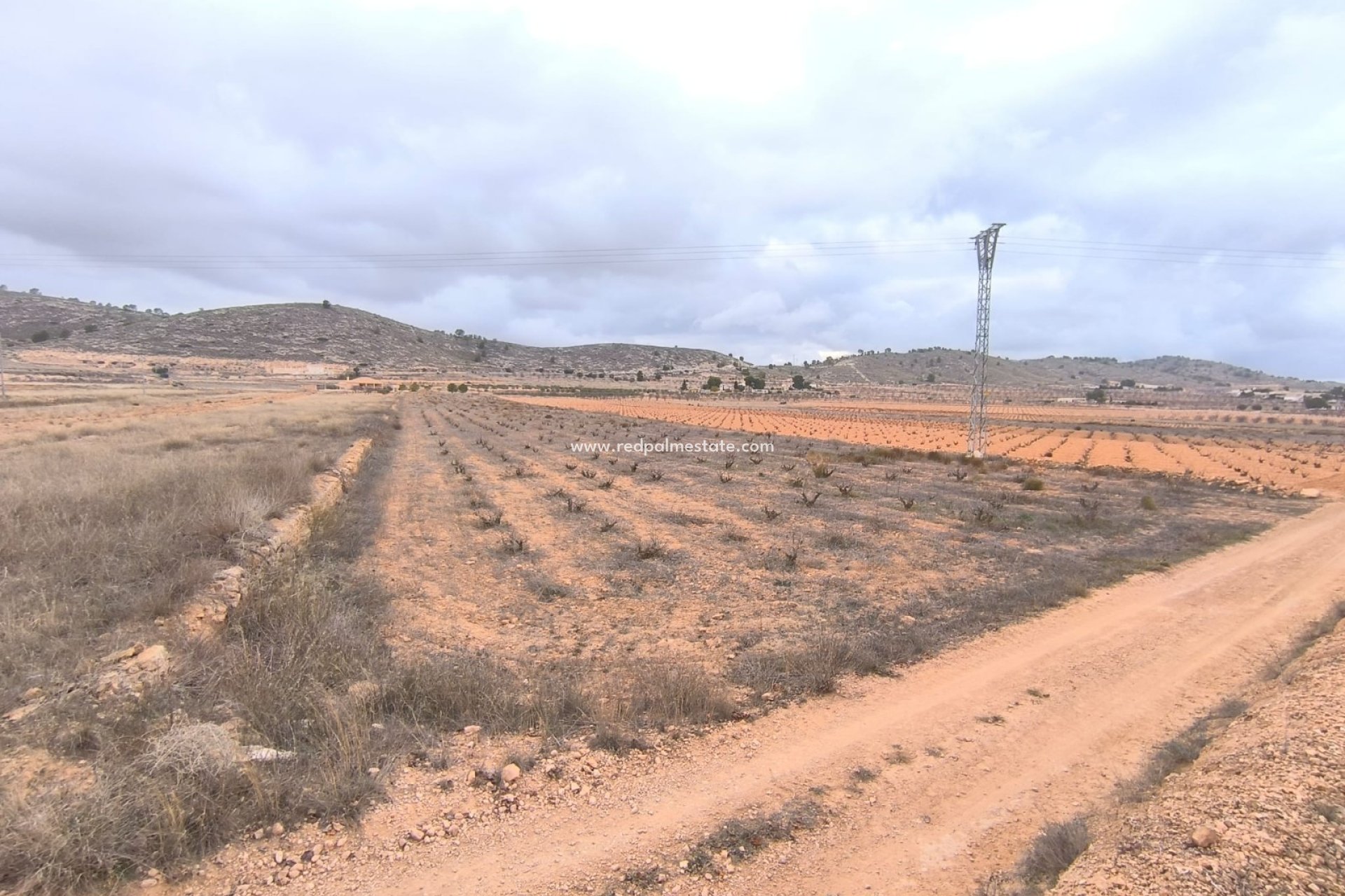 Resale - Plot -
La Solana