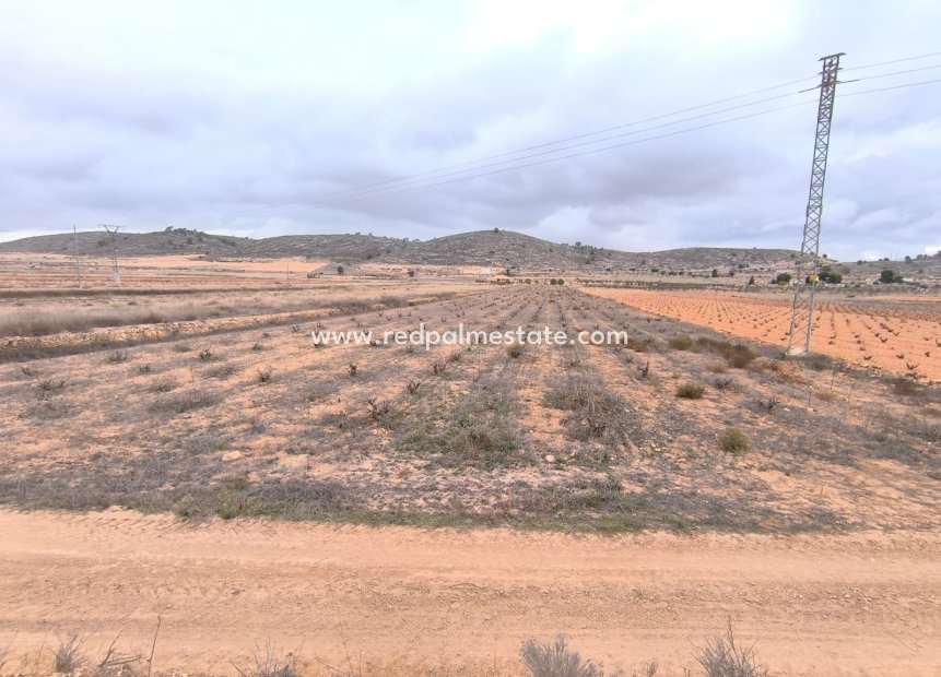 Resale - Plot -
La Solana