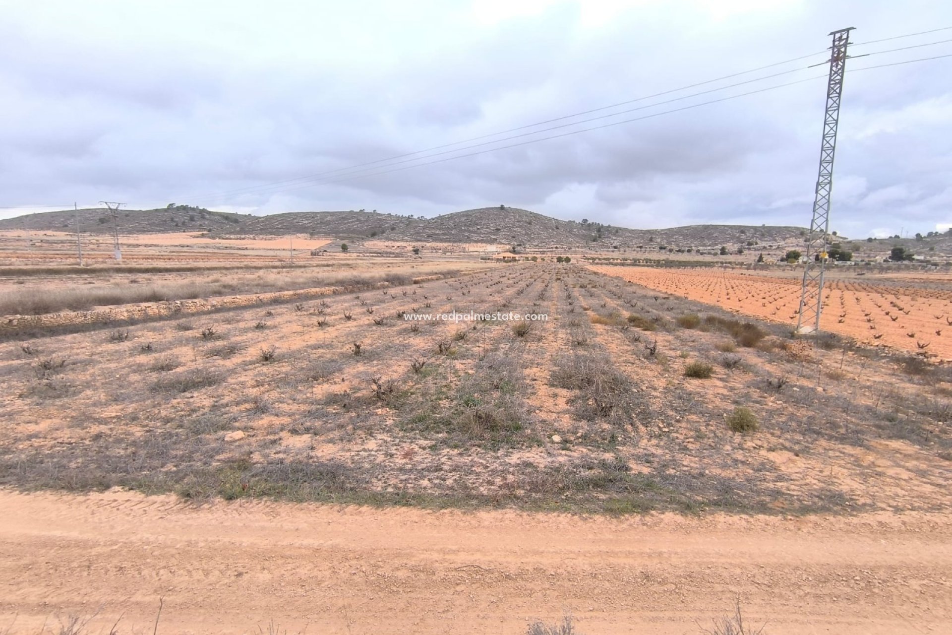 Resale - Plot -
La Solana