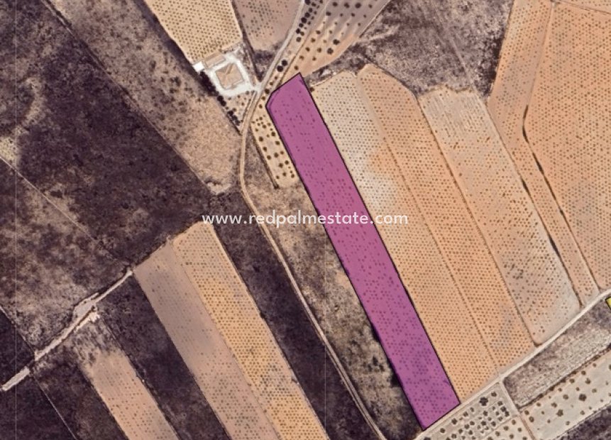 Resale - Plot -
La Solana