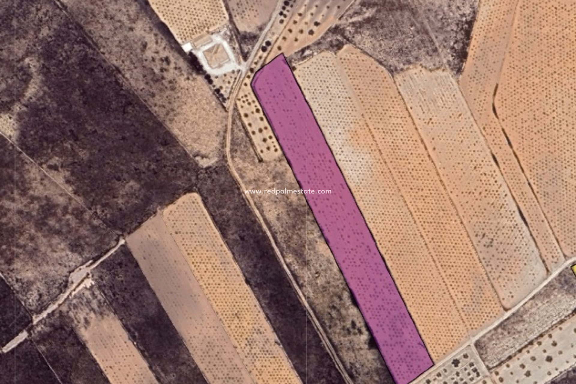 Resale - Plot -
La Solana