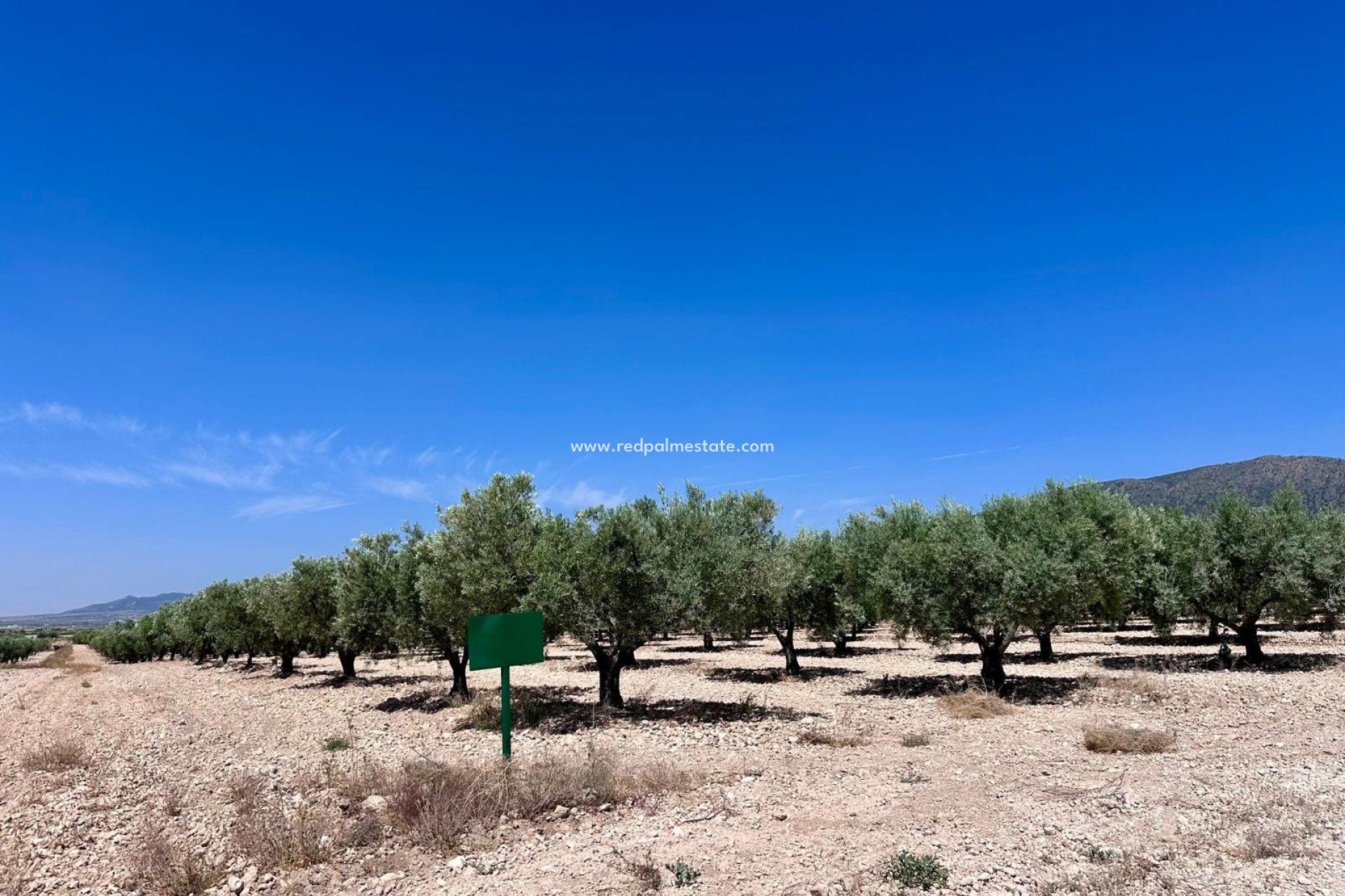 Resale - Plot -
Monóvar/Monóver - Inland