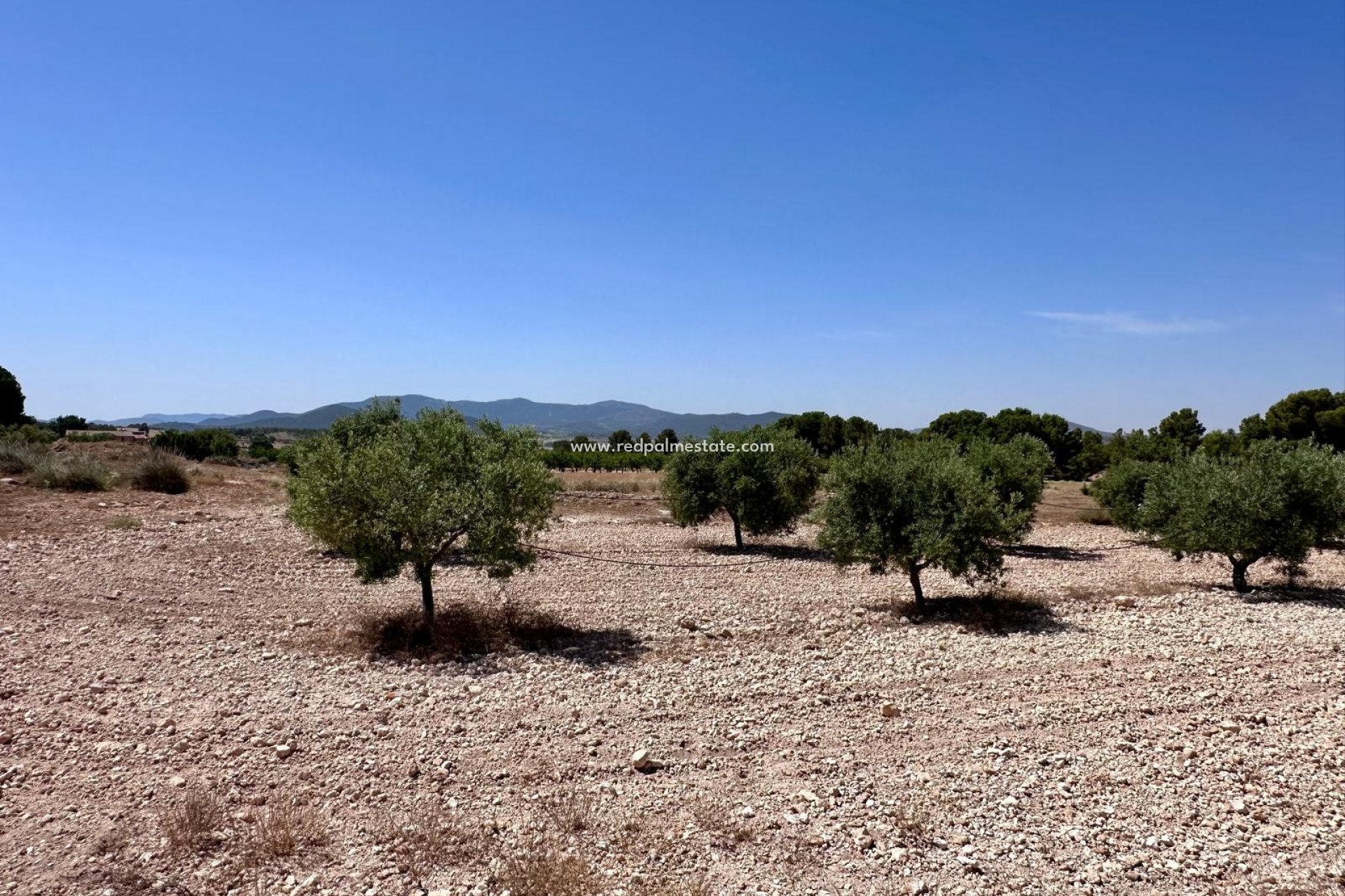 Resale - Plot -
Monóvar/Monóver - Inland