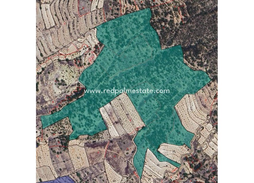 Resale - Plot -
Monóvar/Monóver - Inland