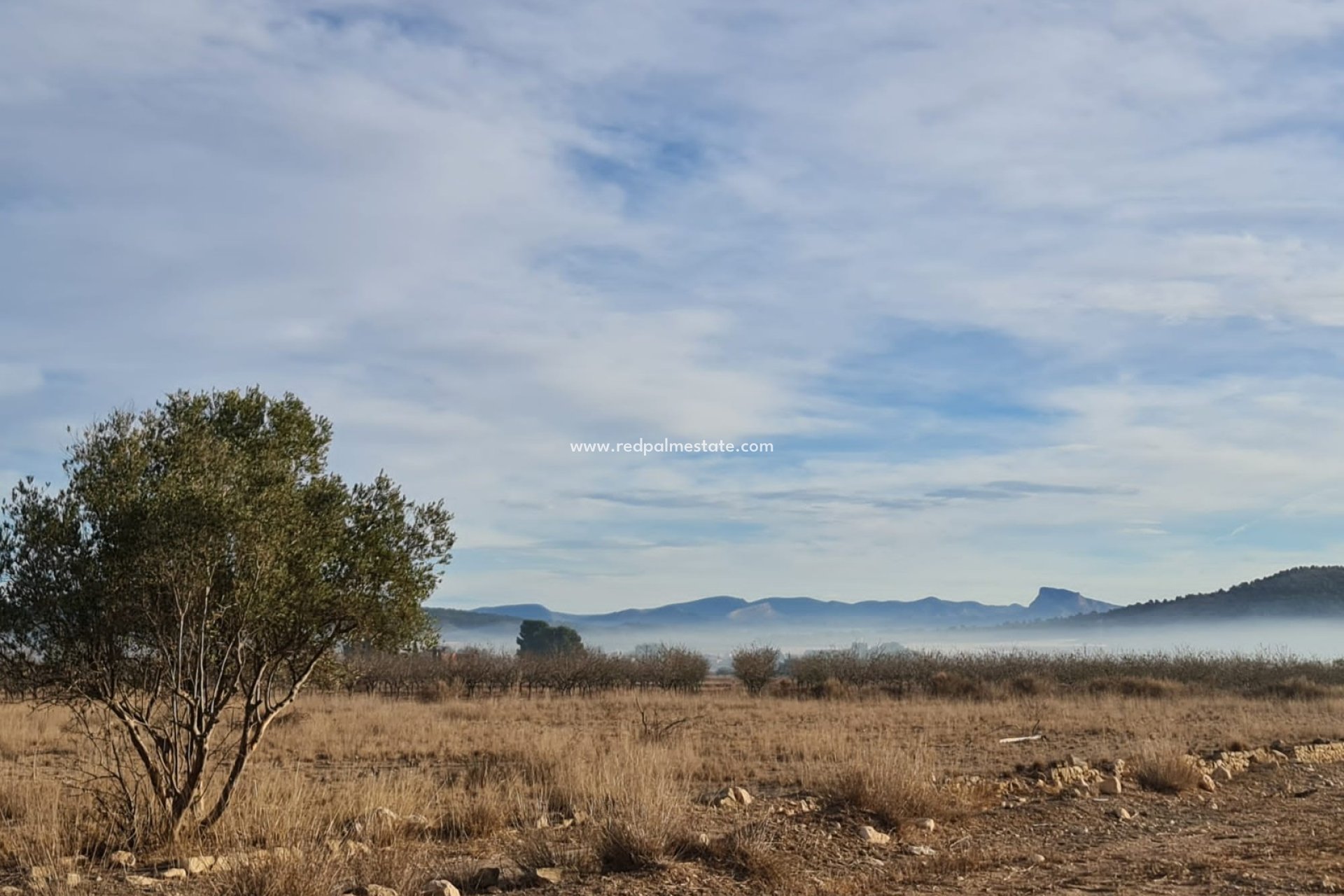 Resale - Plot -
Monóvar/Monóver - Inland