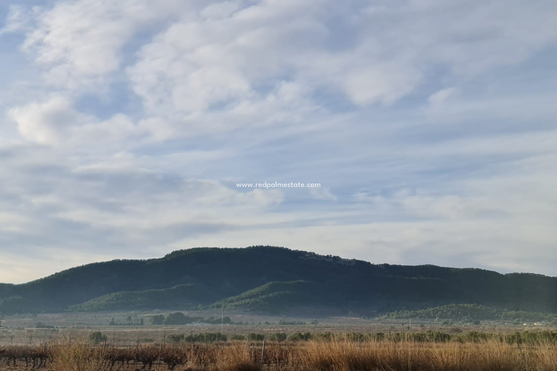 Resale - Plot -
Monóvar/Monóver - Inland