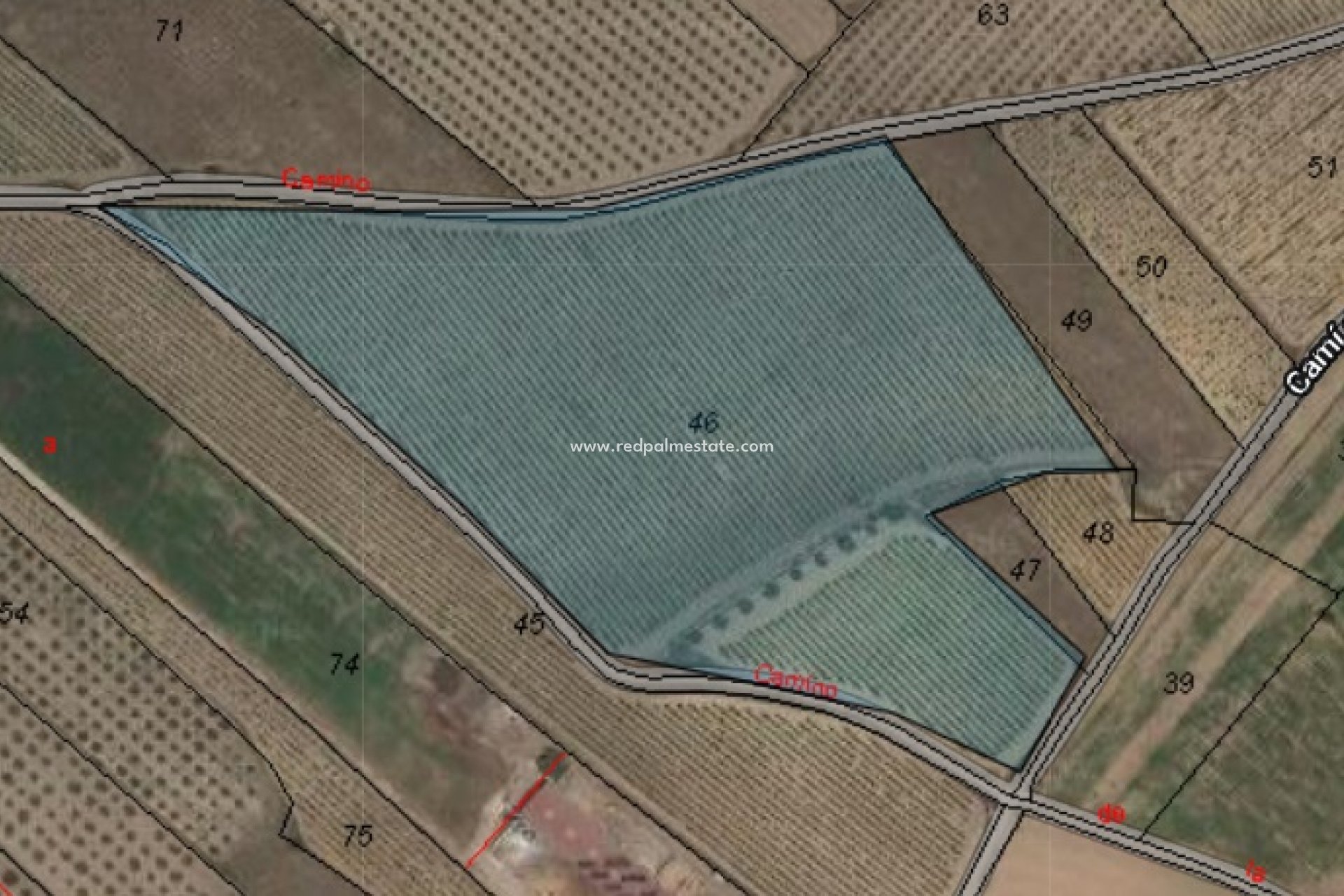 Resale - Plot -
Monóvar/Monóver - Inland