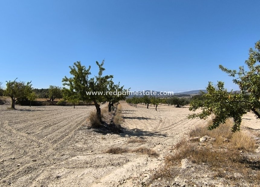 Resale - Plot -
Monóvar/Monóver - Inland
