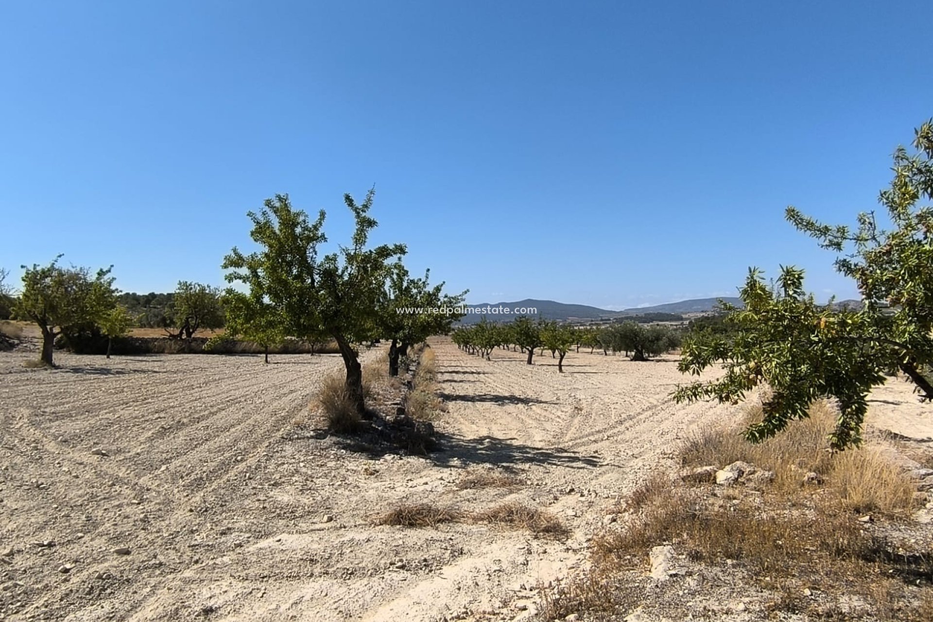 Resale - Plot -
Monóvar/Monóver - Inland