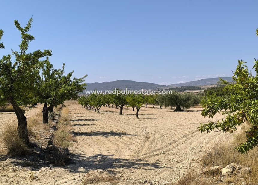 Resale - Plot -
Monóvar/Monóver - Inland