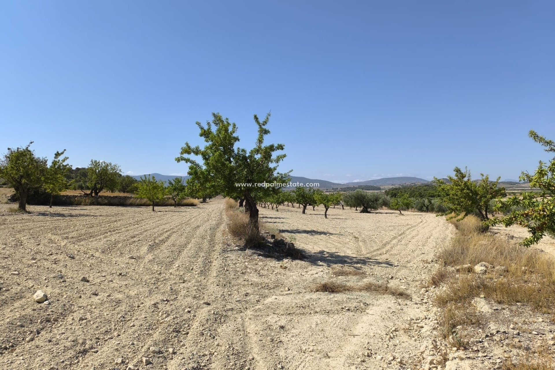 Resale - Plot -
Monóvar/Monóver - Inland