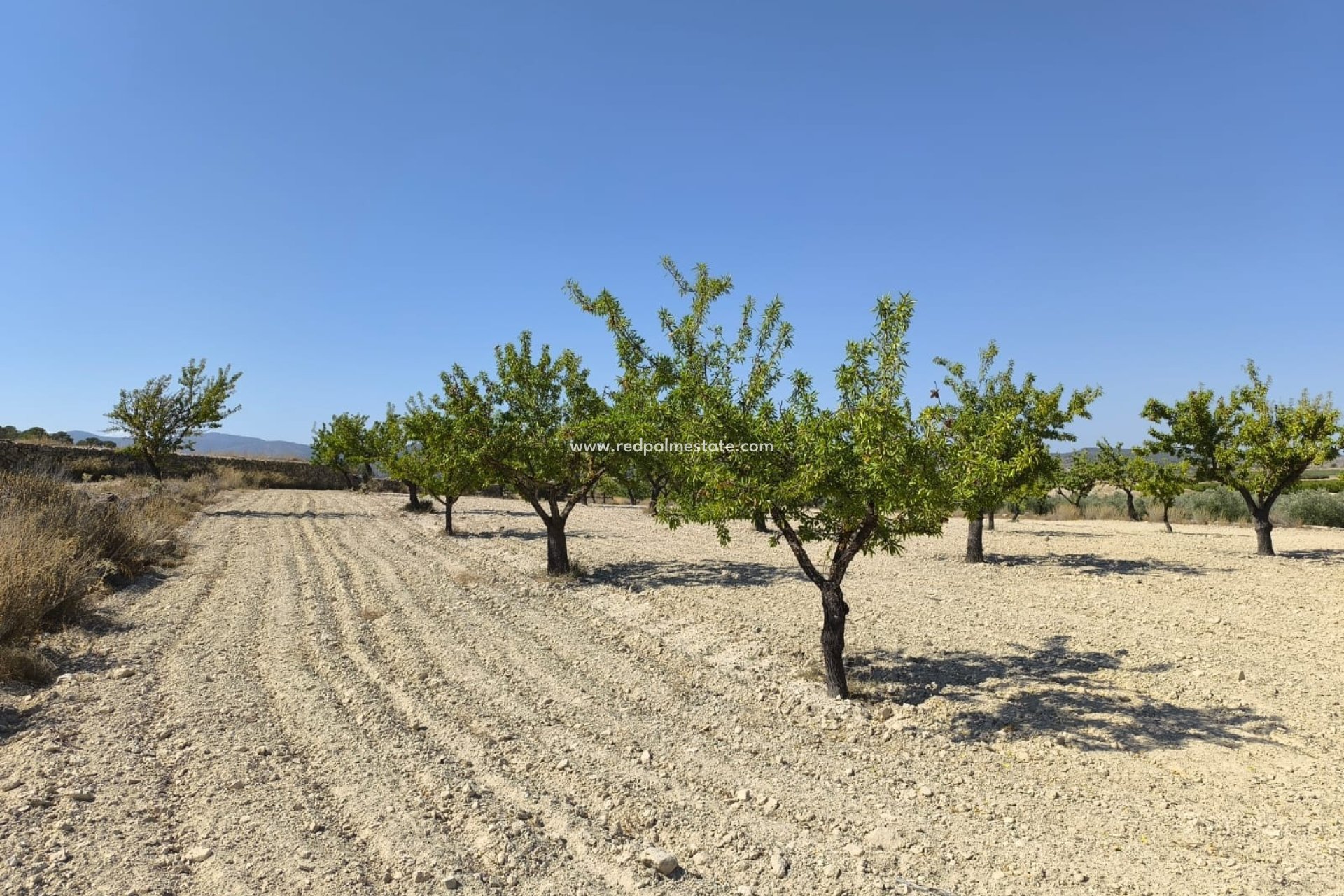 Resale - Plot -
Monóvar/Monóver - Inland