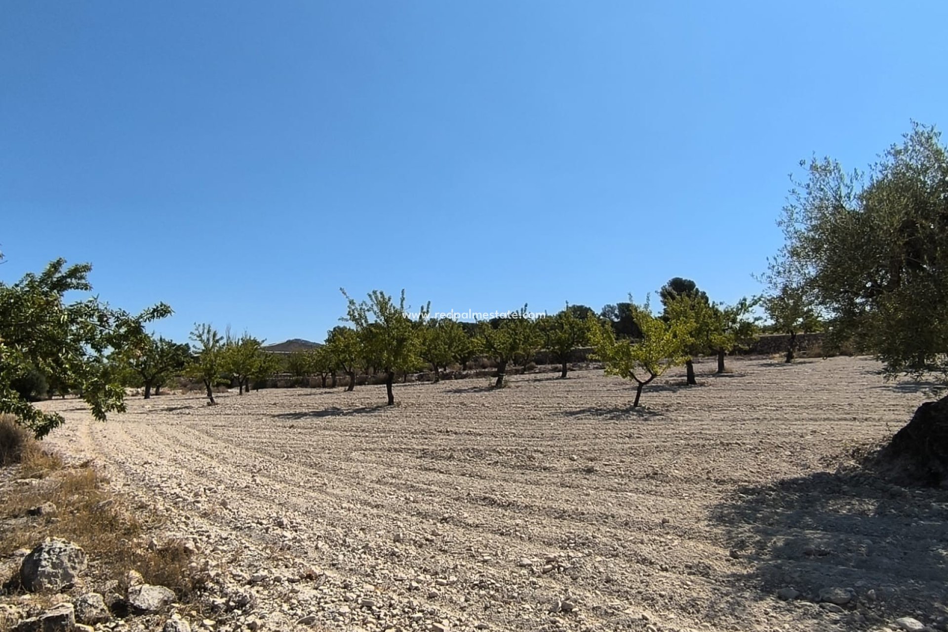 Resale - Plot -
Monóvar/Monóver - Inland
