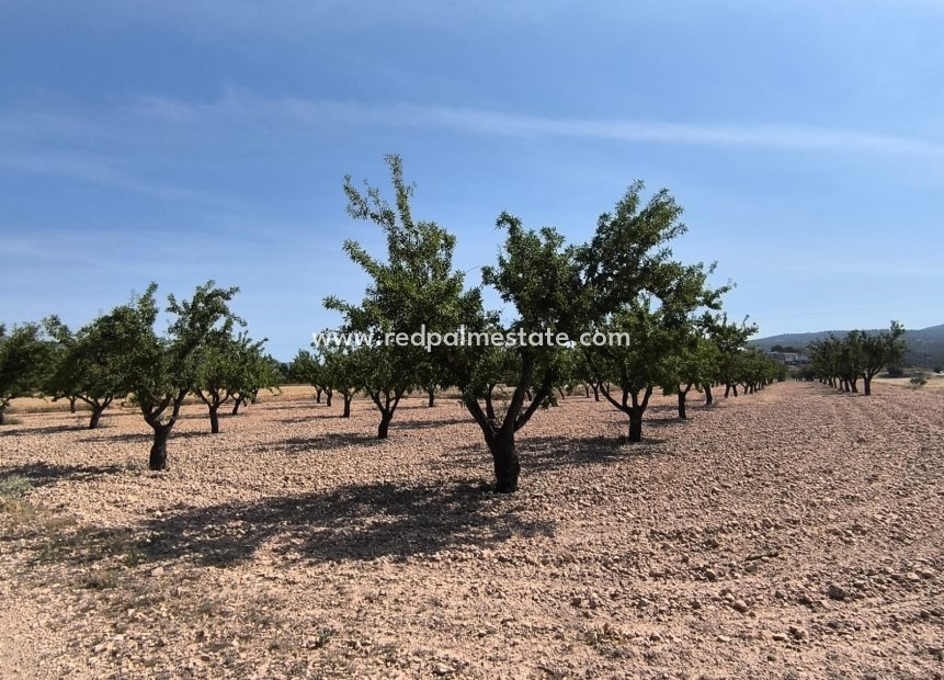 Resale - Plot -
Monóvar/Monóver - Inland