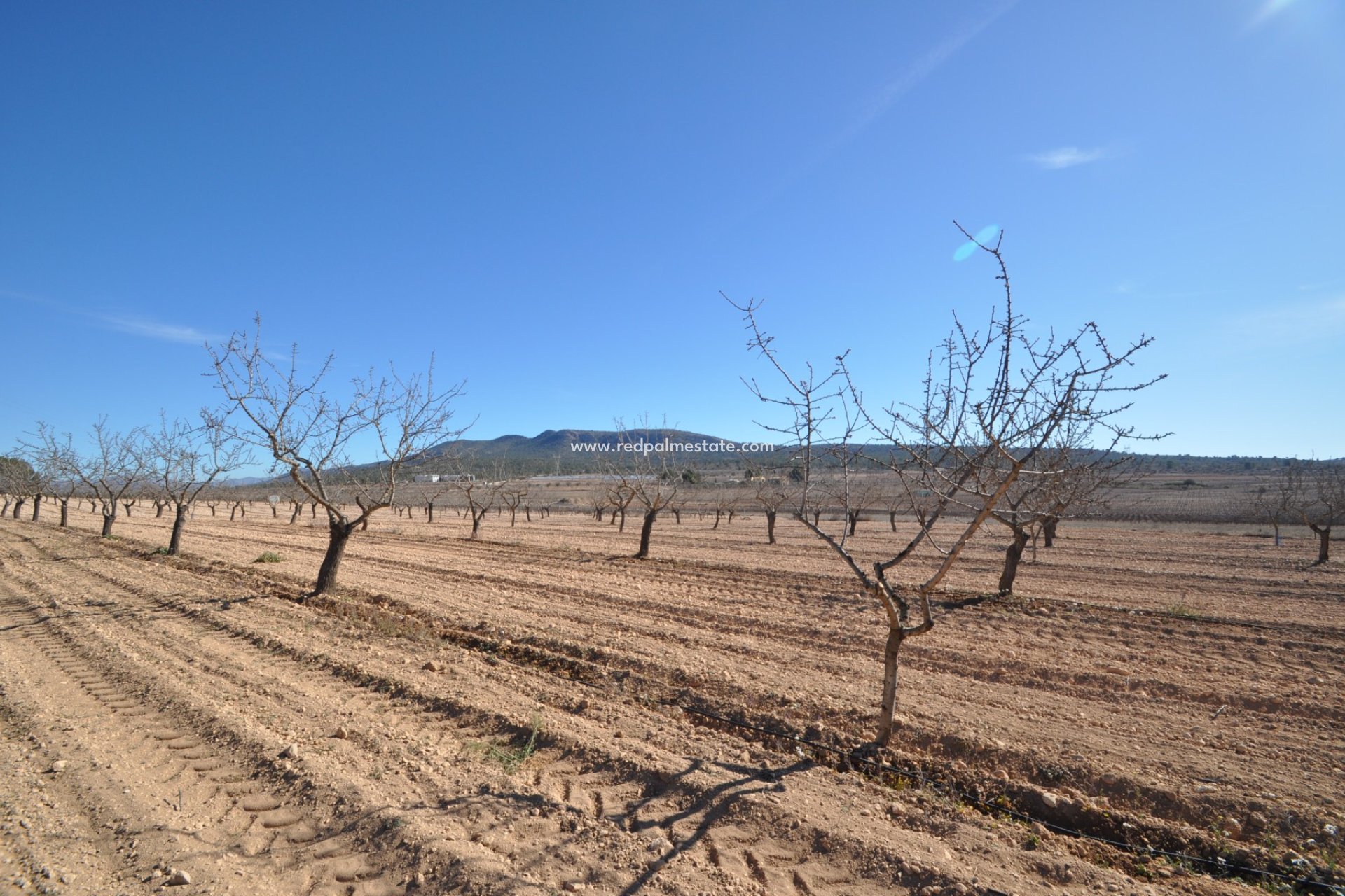 Resale - Plot -
Monóvar/Monóver - Inland