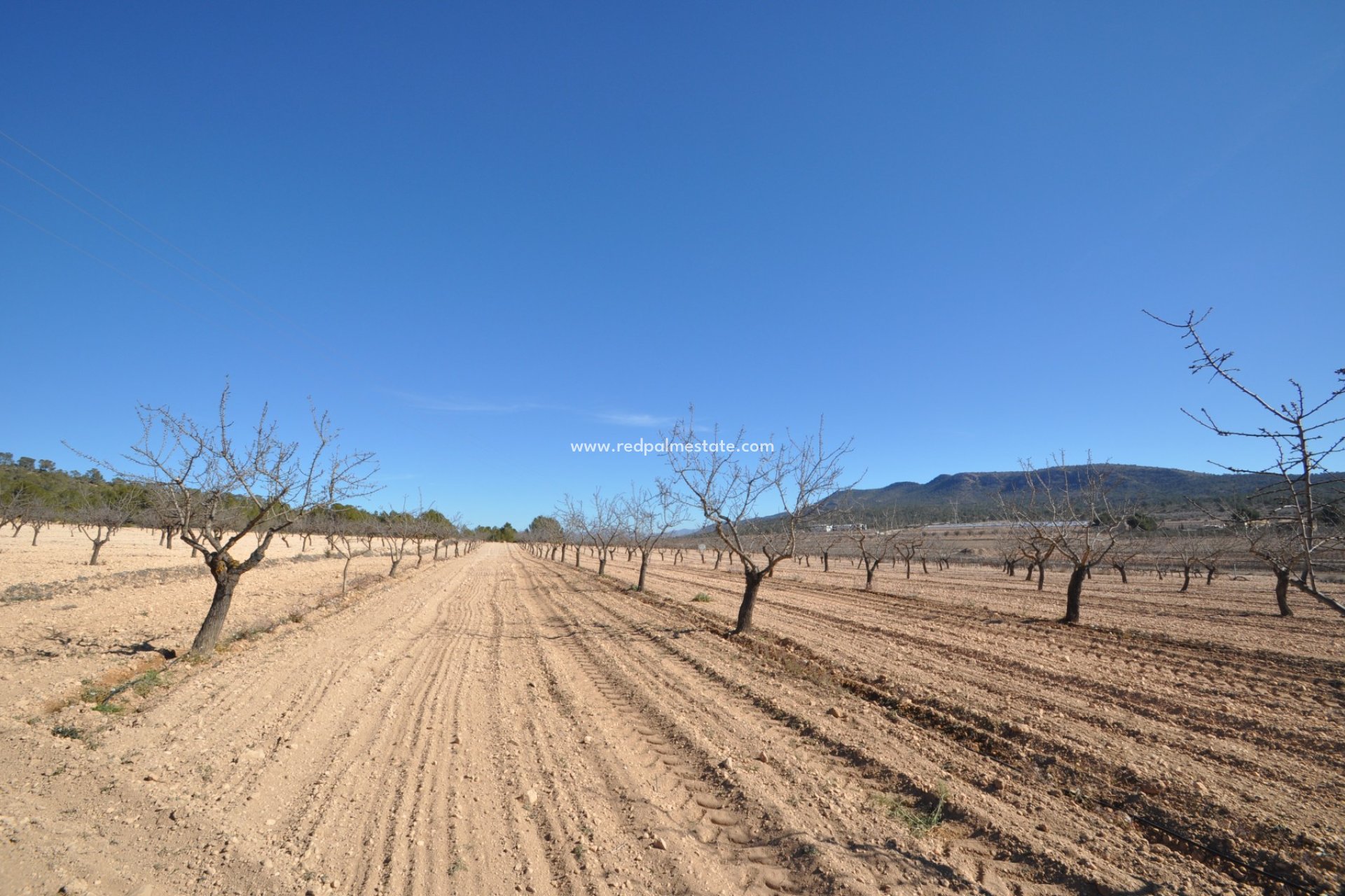 Resale - Plot -
Monóvar/Monóver - Inland