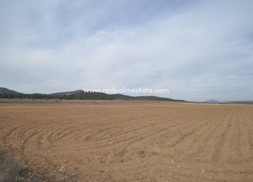 Resale - Plot -
Monóvar/Monóver - Inland