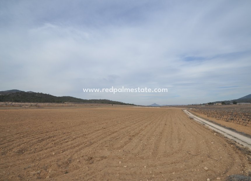 Resale - Plot -
Monóvar/Monóver - Inland