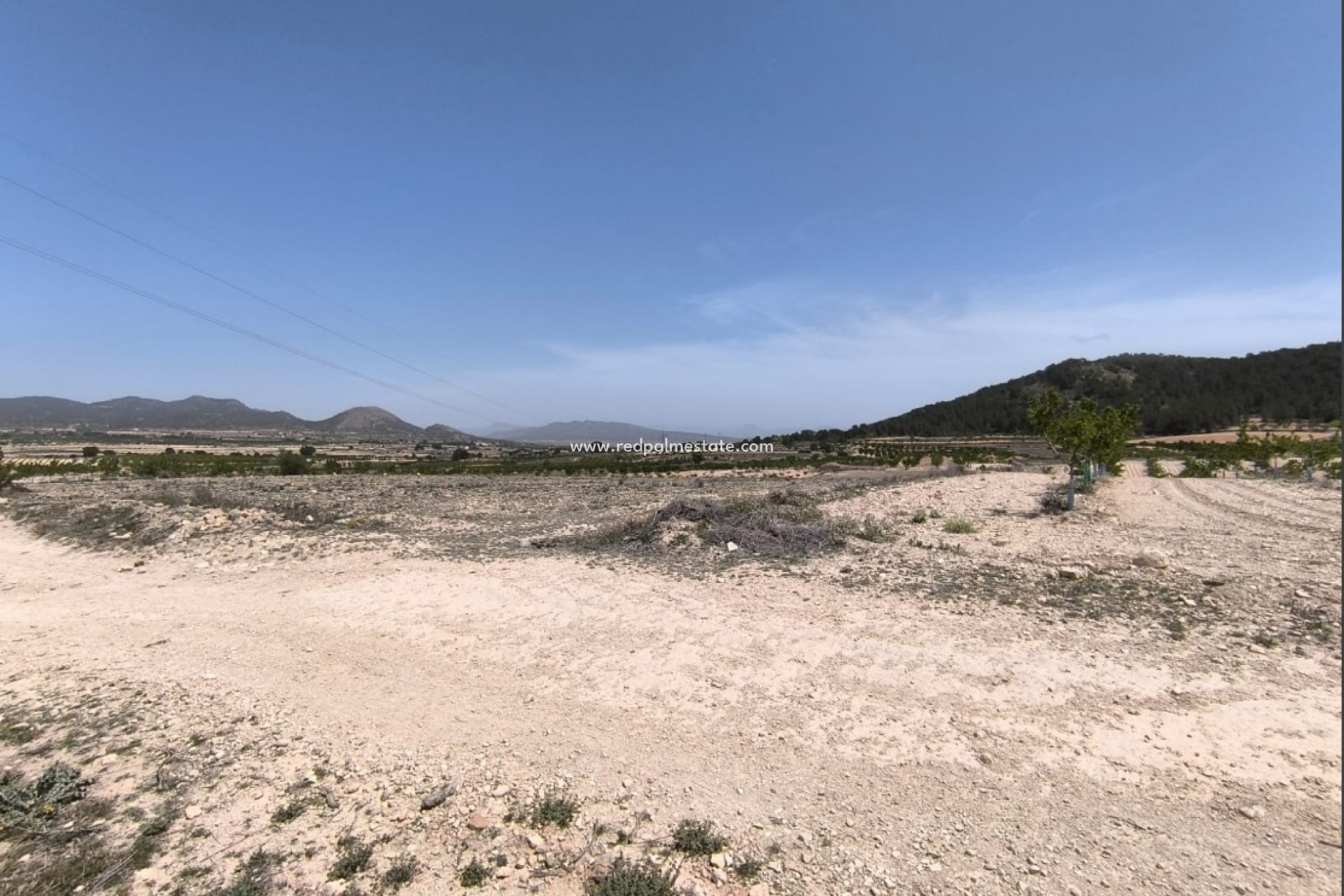 Resale - Plot -
Monóvar/Monóver - Inland