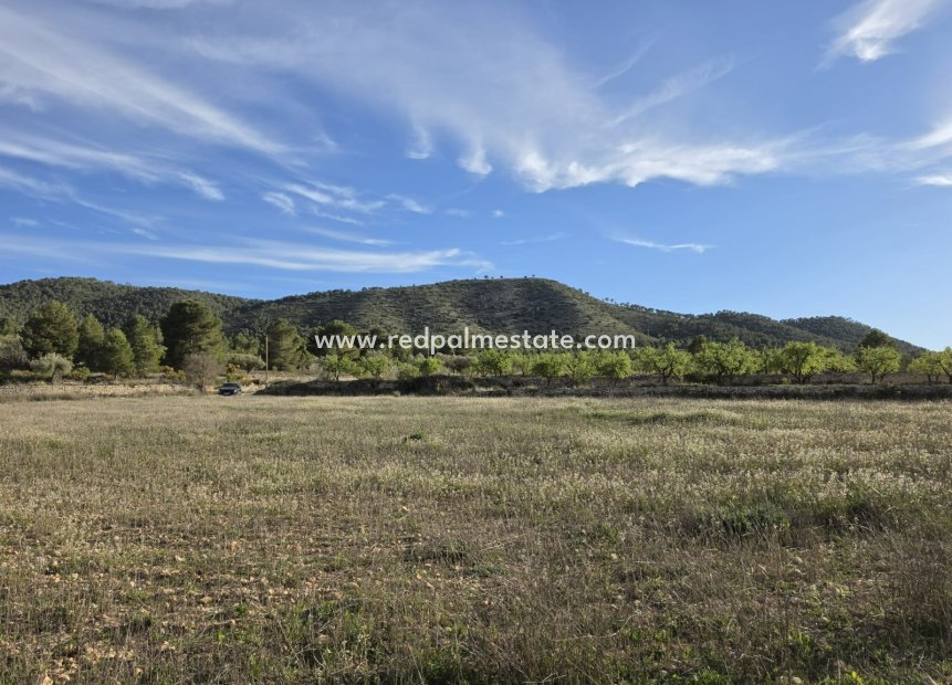 Resale - Plot -
Monóvar/Monóver - Inland