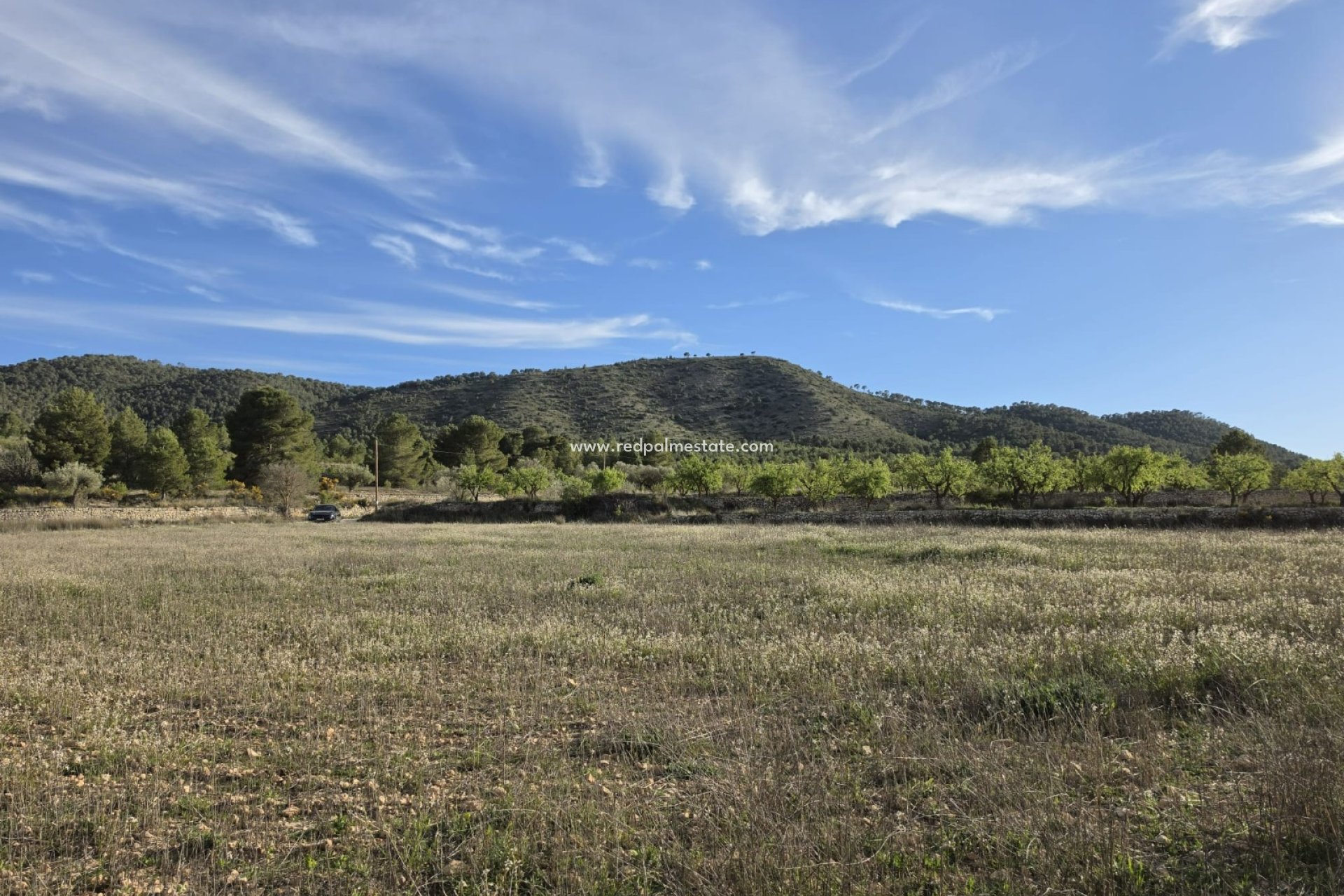 Resale - Plot -
Monóvar/Monóver - Inland
