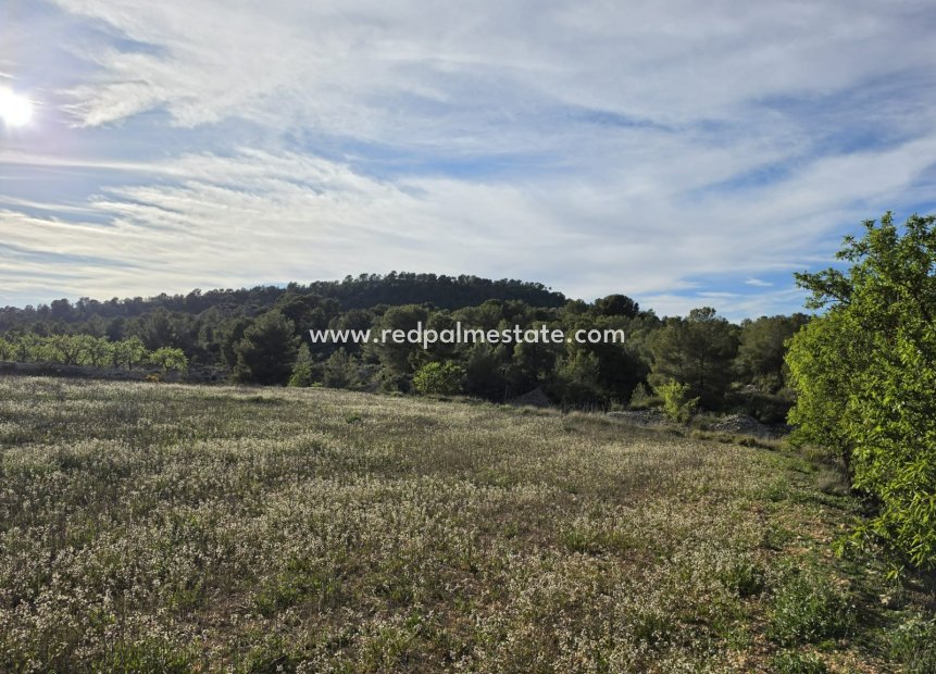 Resale - Plot -
Monóvar/Monóver - Inland