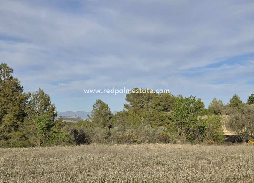 Resale - Plot -
Monóvar/Monóver - Inland