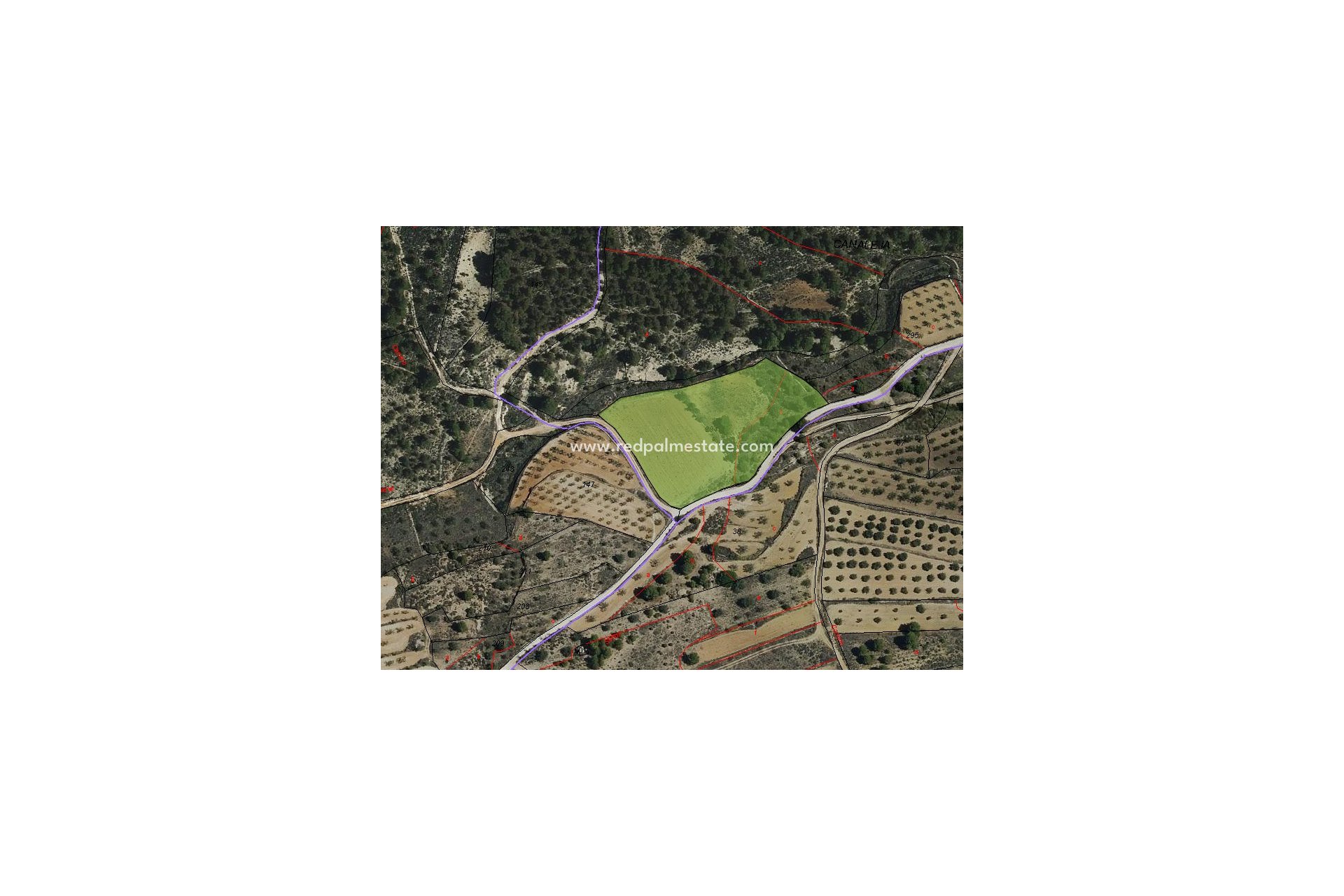 Resale - Plot -
Monóvar/Monóver - Inland