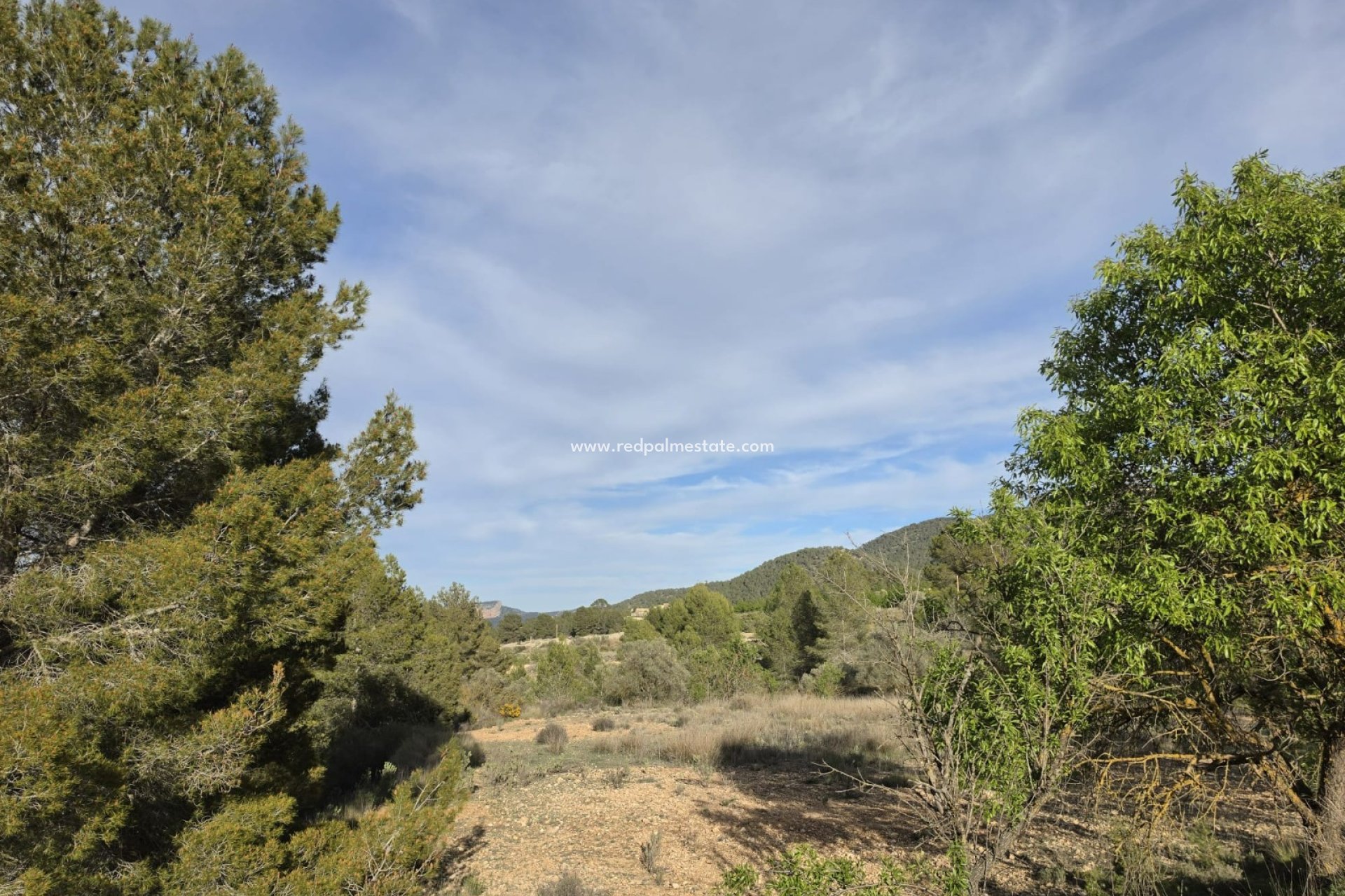 Resale - Plot -
Monóvar/Monóver - Inland
