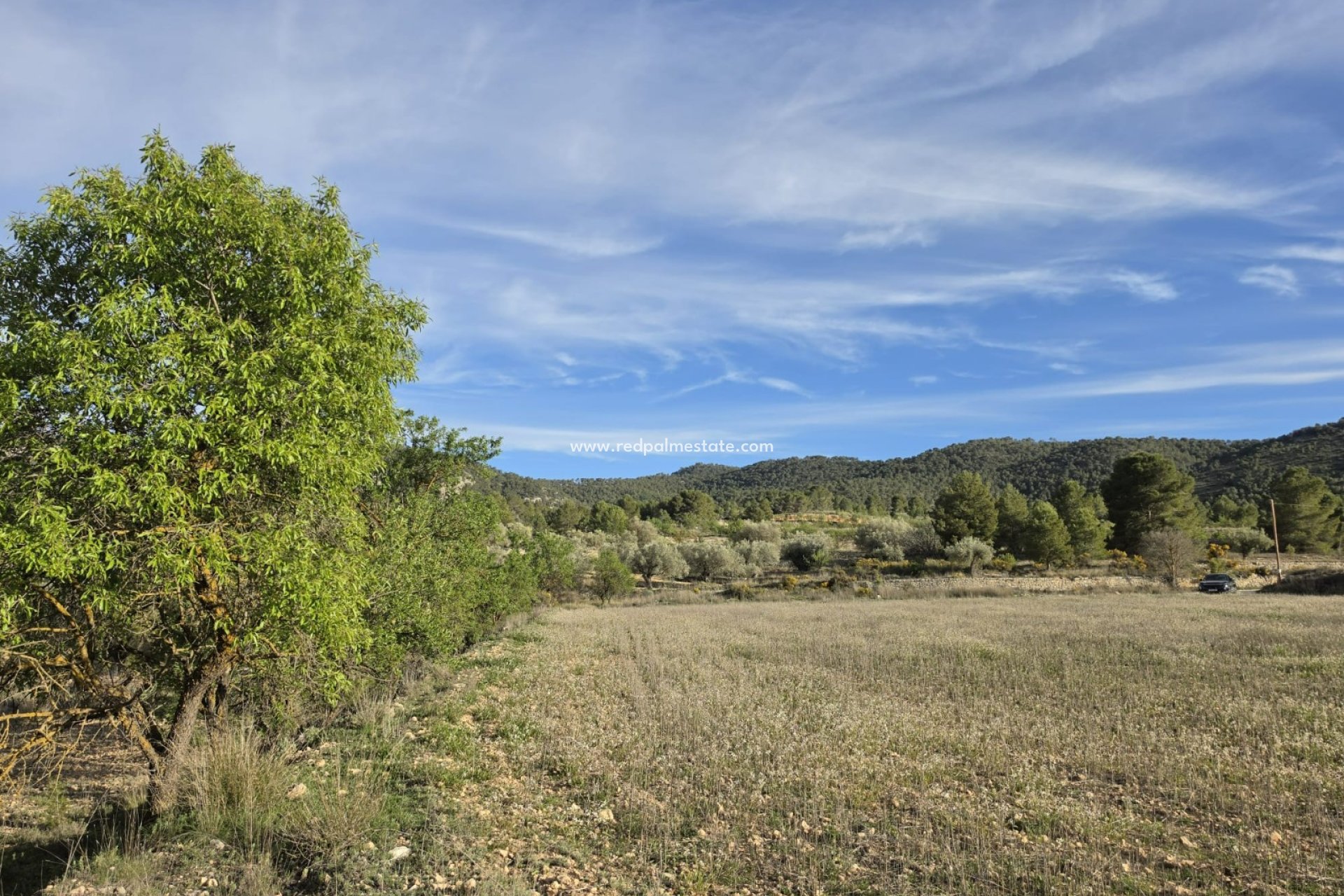 Resale - Plot -
Monóvar/Monóver - Inland