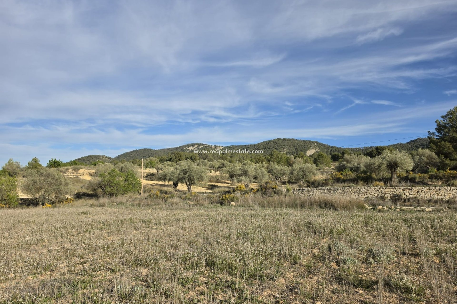 Resale - Plot -
Monóvar/Monóver - Inland