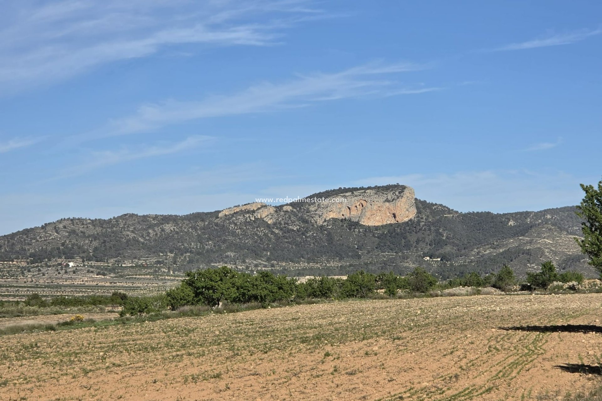 Resale - Plot -
Monóvar/Monóver - Inland
