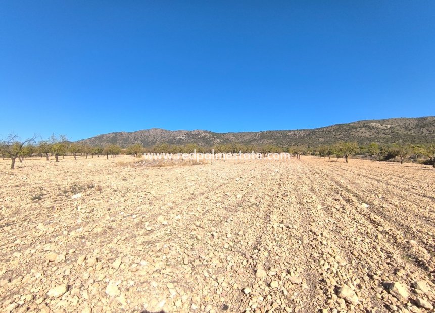 Resale - Plot -
Monóvar/Monóver - Inland