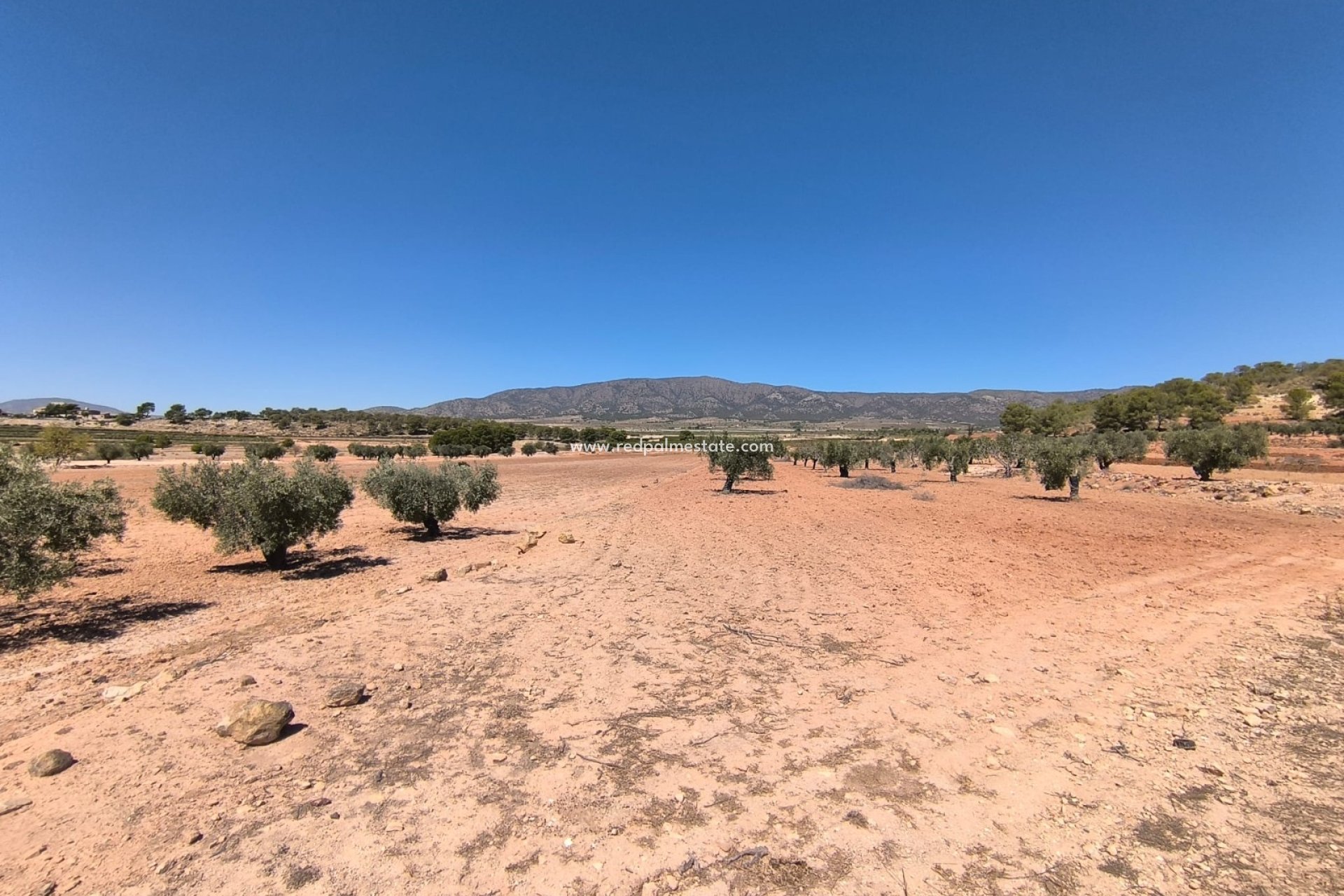 Resale - Plot -
Monóvar/Monóver - Inland