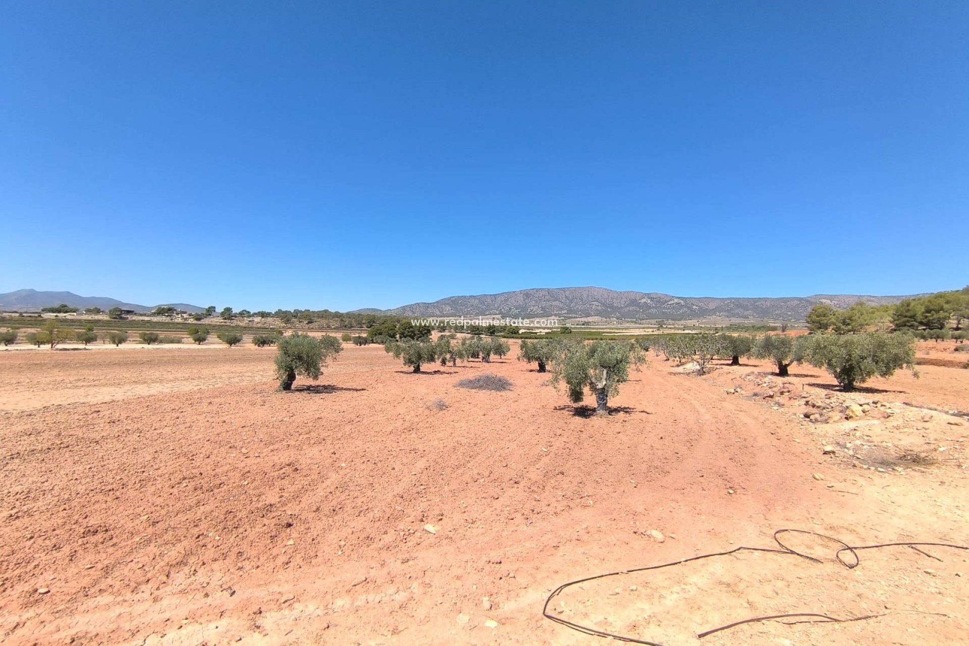 Resale - Plot -
Monóvar/Monóver - Inland