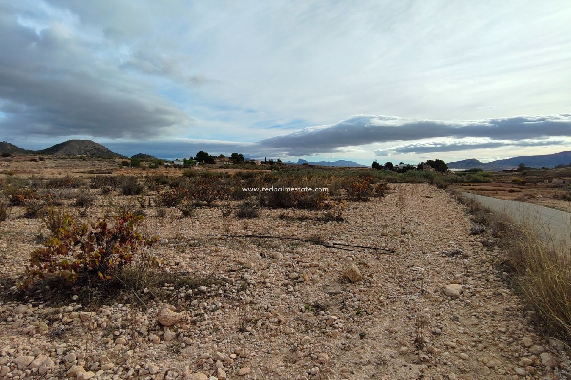 Resale - Plot -
Monóvar/Monóver - Inland