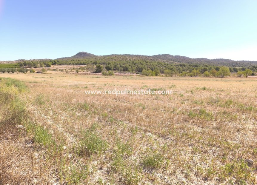 Resale - Plot -
Monóvar/Monóver - Inland