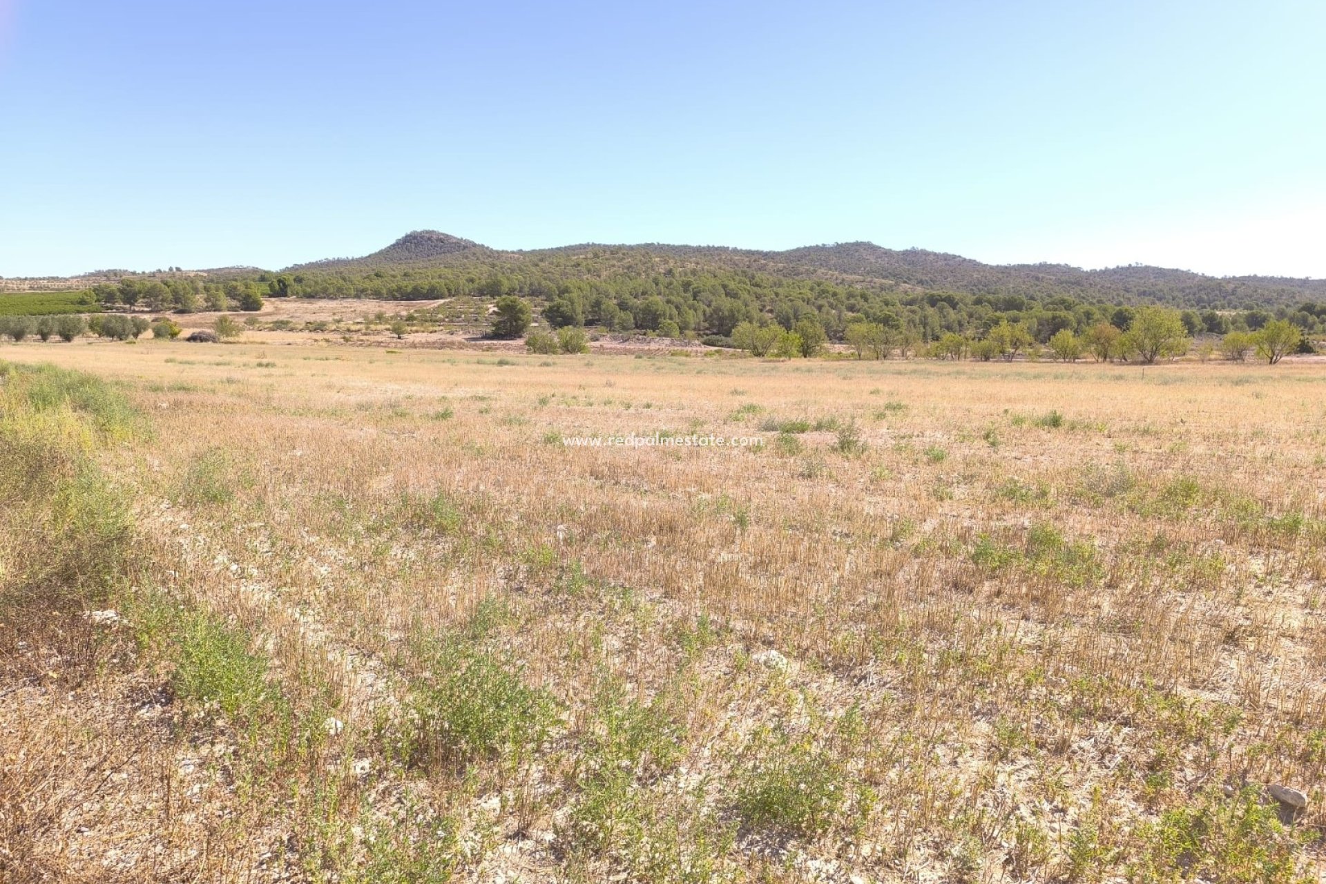 Resale - Plot -
Monóvar/Monóver - Inland