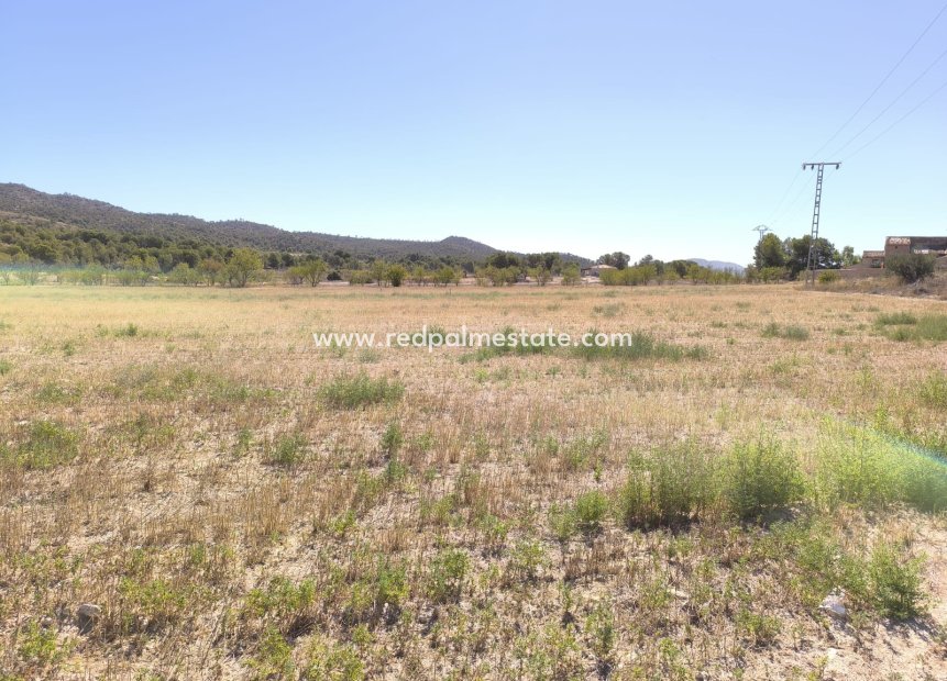 Resale - Plot -
Monóvar/Monóver - Inland