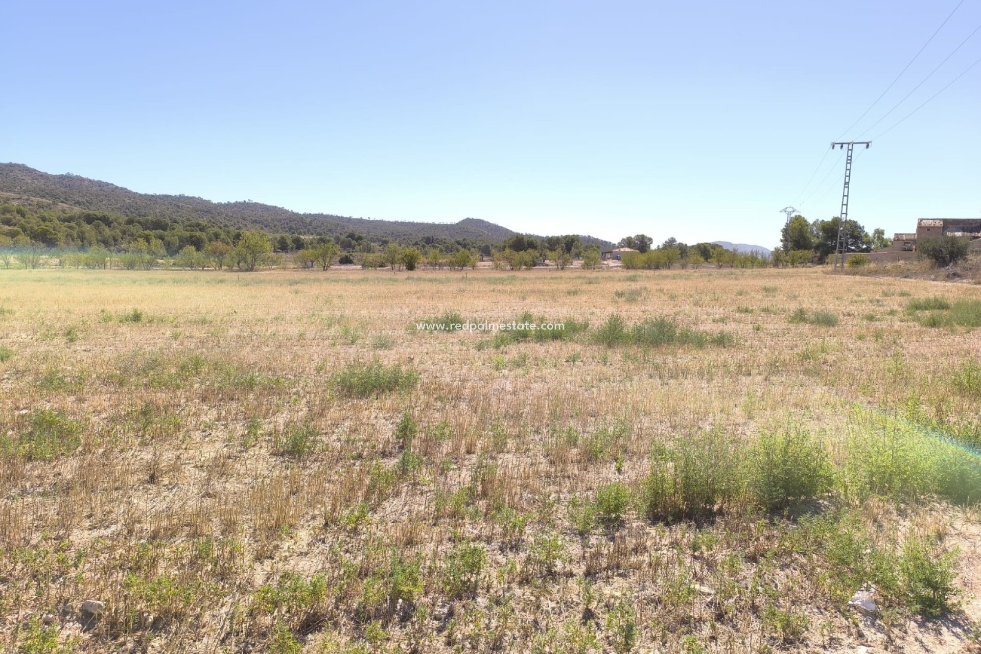 Resale - Plot -
Monóvar/Monóver - Inland