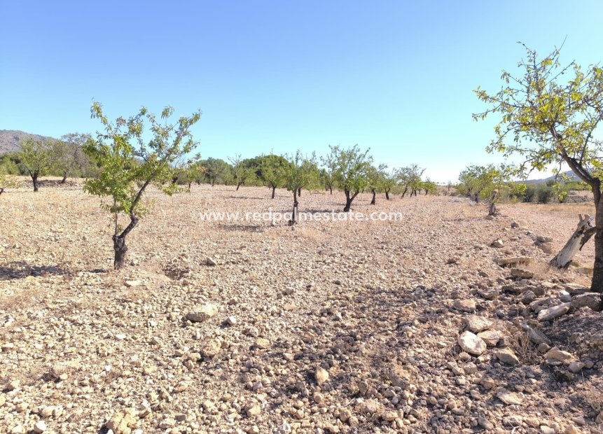 Resale - Plot -
Monóvar/Monóver - Inland