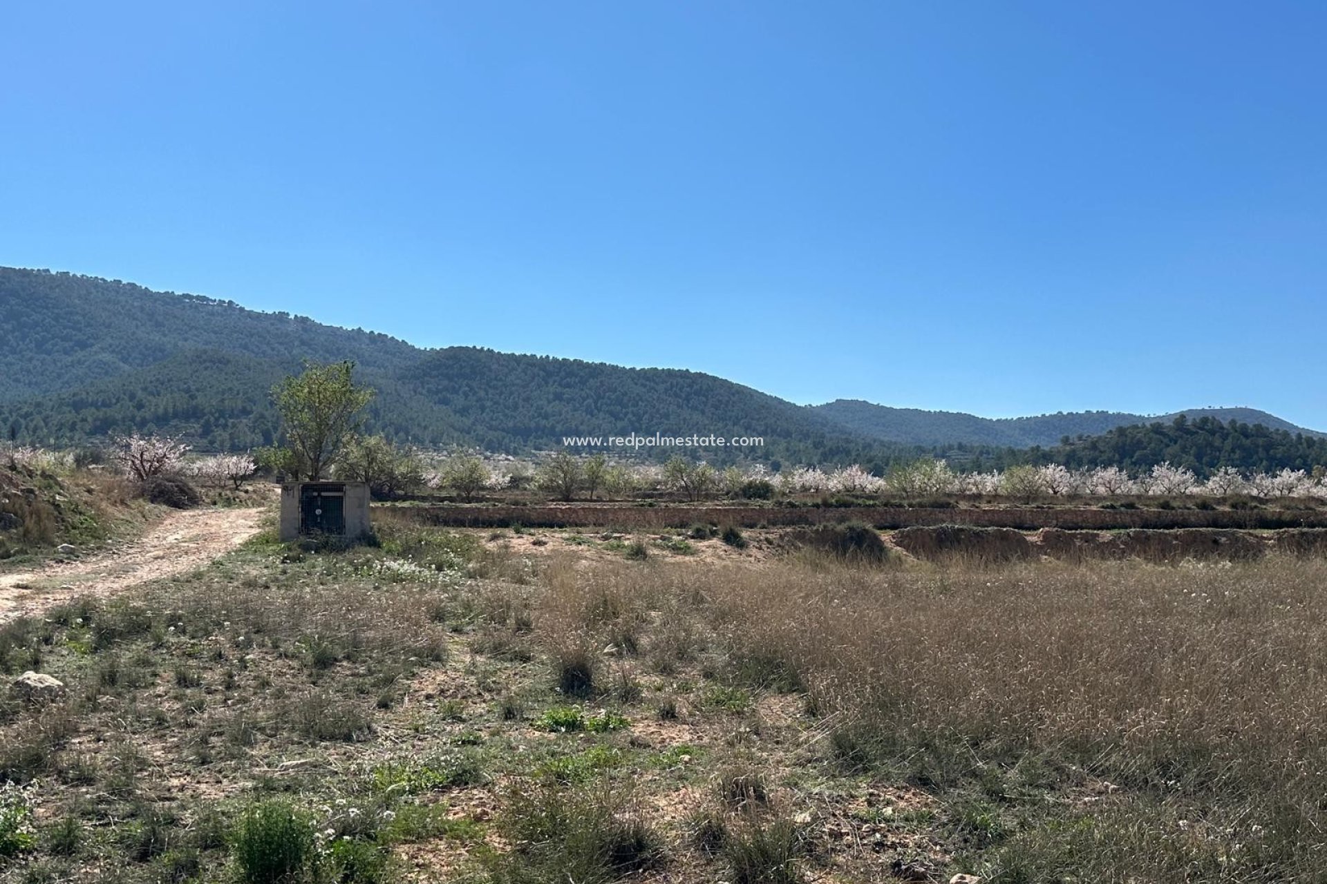 Resale - Plot -
Monóvar/Monóver - Inland