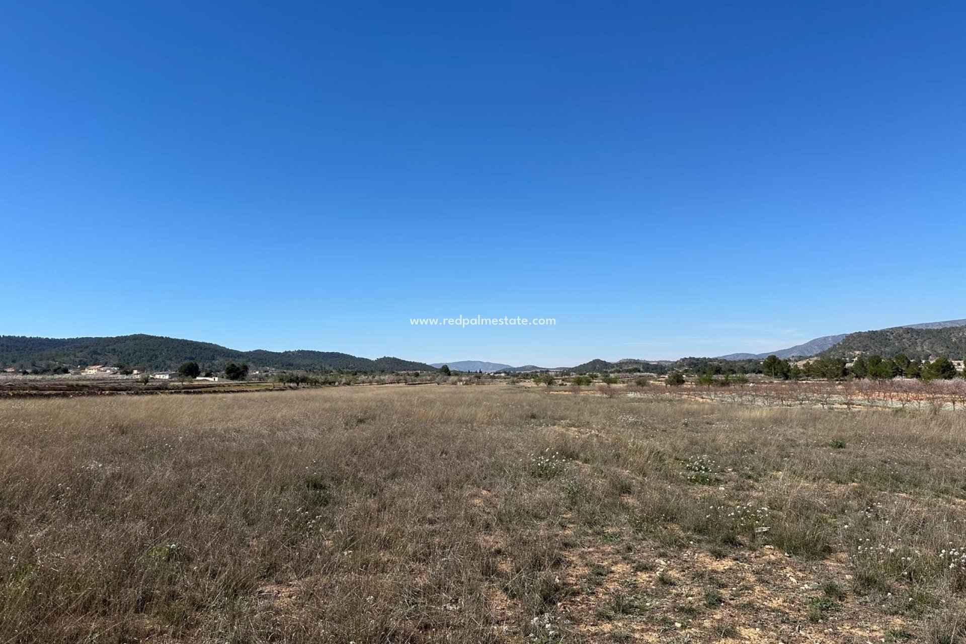 Resale - Plot -
Monóvar/Monóver - Inland