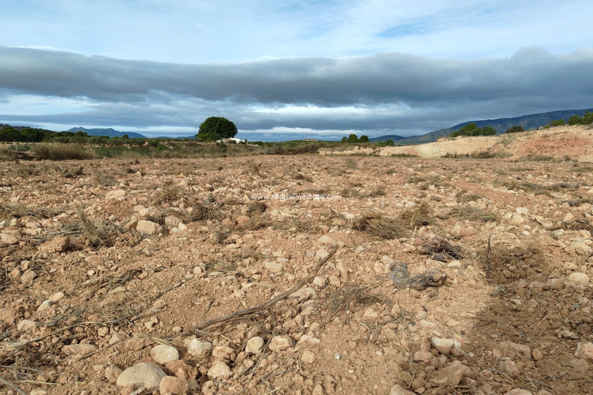 Resale - Plot -
Monóvar/Monóver - Inland