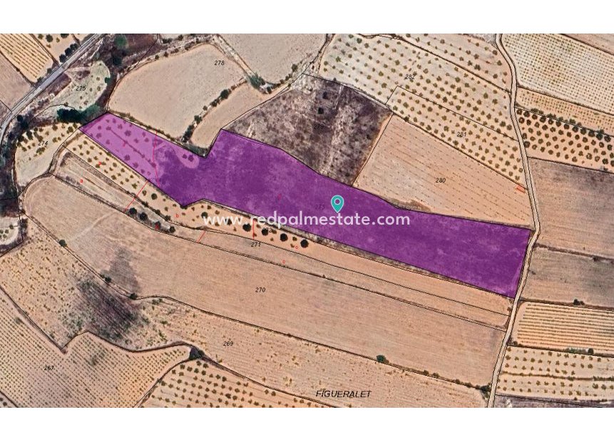 Resale - Plot -
Monóvar/Monóver - Inland