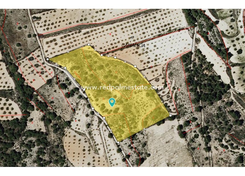 Resale - Plot -
Monóvar/Monóver - Inland