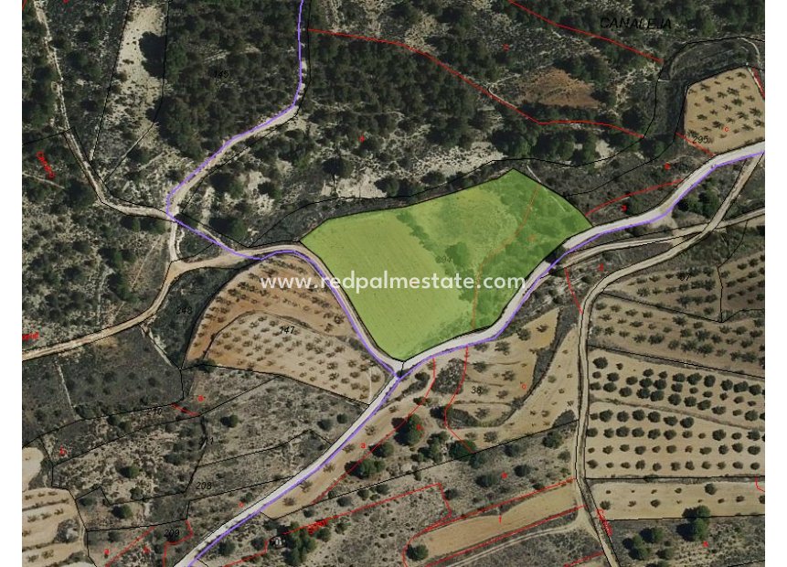 Resale - Plot -
Monóvar/Monóver - Inland