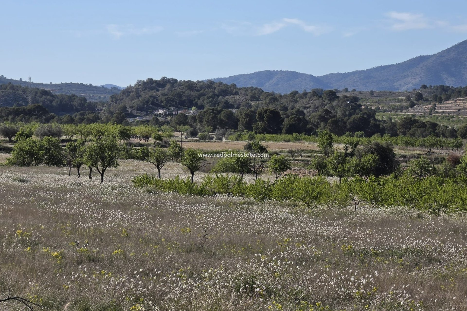 Resale - Plot -
Monóvar/Monóver - Inland