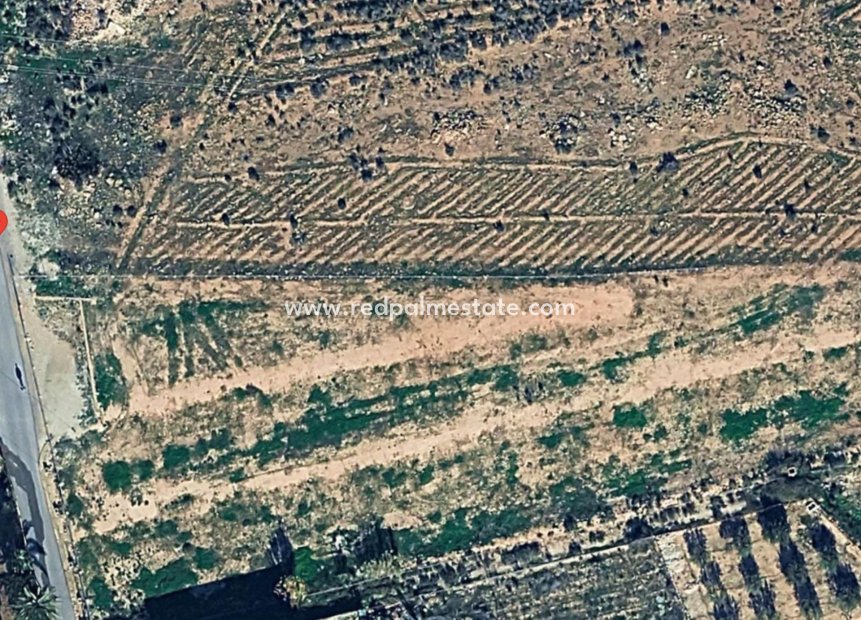 Resale - Plot -
Montesinos - Pueblo 8