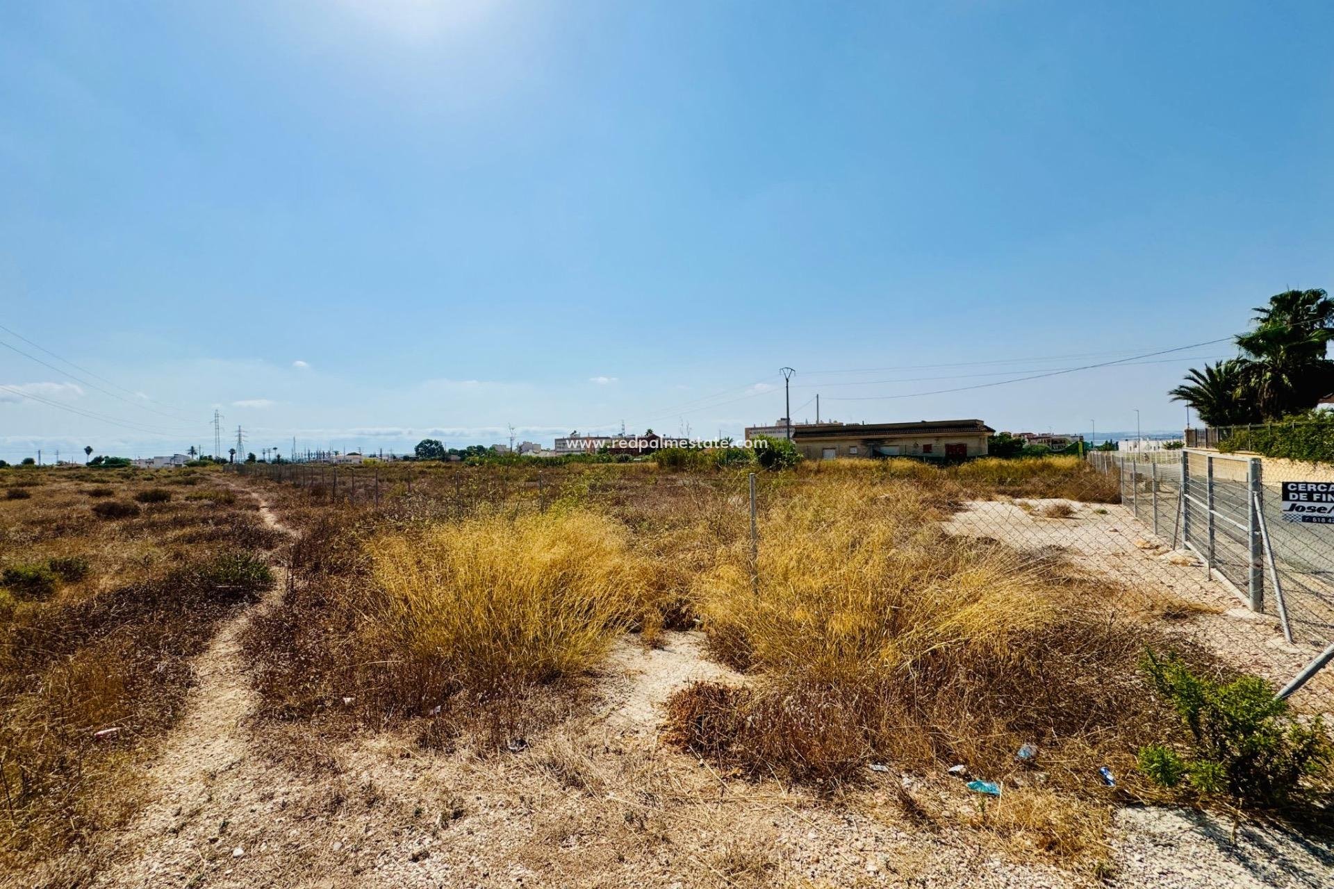 Resale - Plot -
Montesinos - Pueblo 8